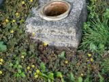 image of grave number 526139